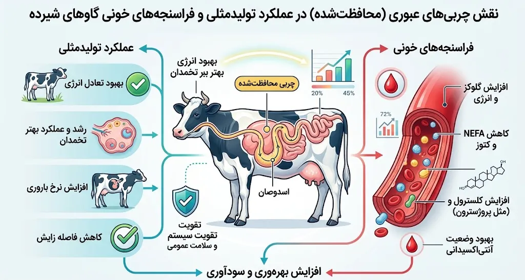 نقش چربی‌های عبوری (محافظت‌شده) در عملکرد تولیدمثلی و فراسنجه‌های خونی گاوهای شیرده