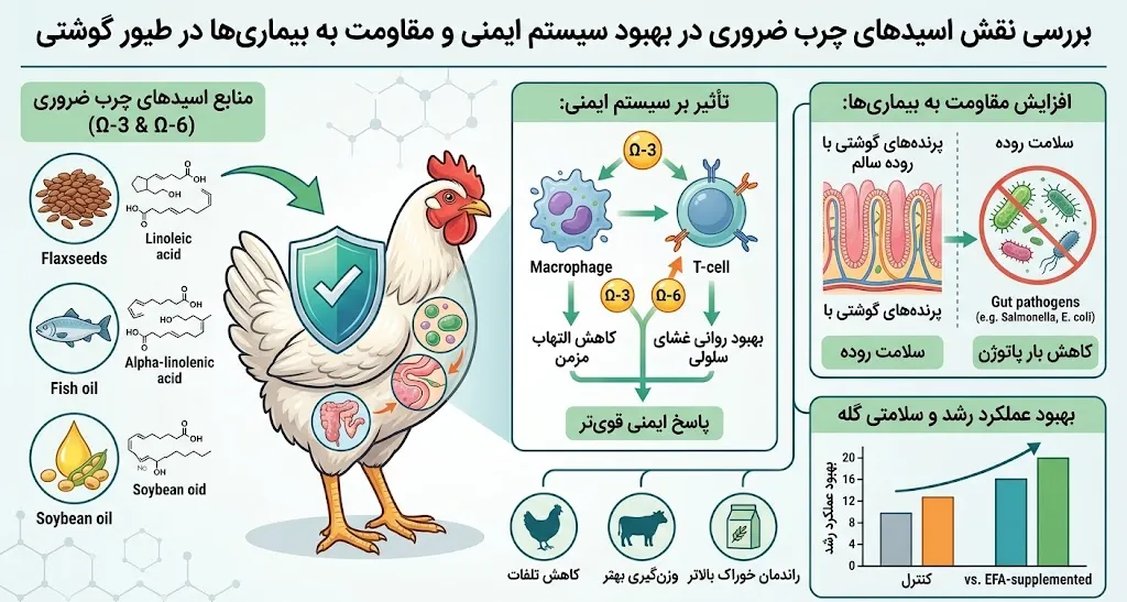 بررسی نقش اسیدهای چرب ضروری در بهبود سیستم ایمنی و مقاومت به بیماری‌ها در طیور گوشتی